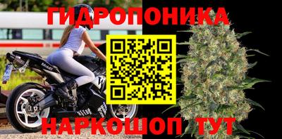 круглые Тверь
