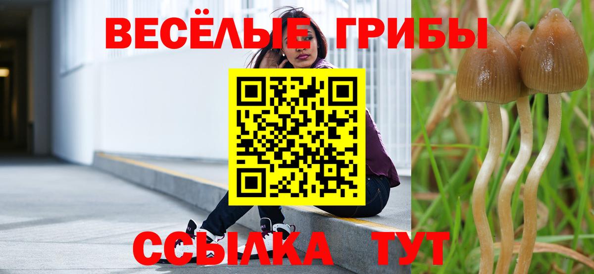 Галлюциногенные грибы мухоморы Нефтекумск